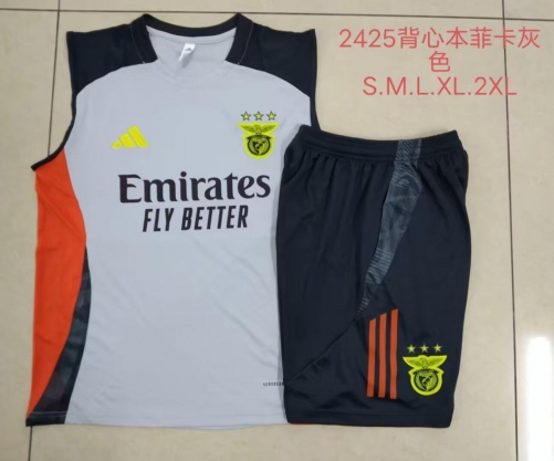 2024/25 Benfica Light Gray Soccer Tracksuit Uniform Vest-815