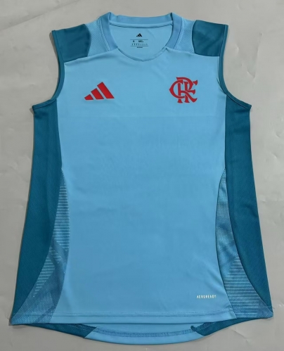 2025/26 CR Flamengo Sky Blue Thailand Soccer Jersey AAA-908