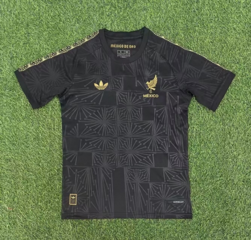 2025/26 Mexico Black Training Thailand Soccer Jersey AAA-23/416