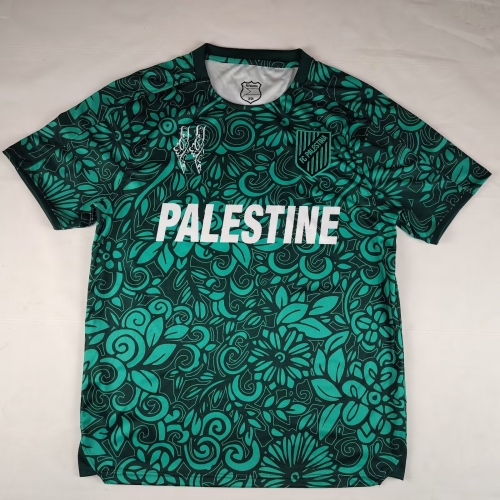 Camouflage 2025/26 Palestine Black & Green Thailand Soccer Jersey AAA-38