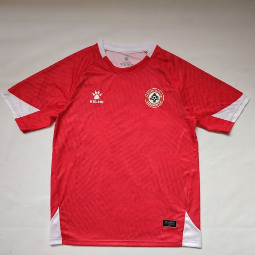 2025/26 Lebanon Red Thailand Soccer Jersey AAA-38