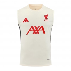 2025/26 Liverpool Yellow Training Thailand Soccer Jersey AAA-418