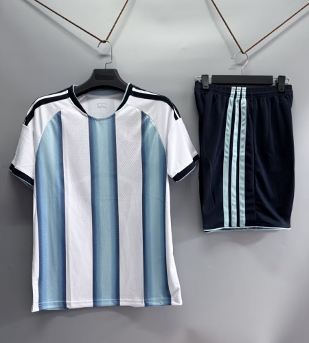 Customize 2025/26 Argentina Home Blue & White Soccer Uniform-DN