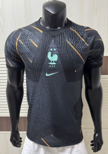 Player Version 2026/27 France Goalkeeper Gray Thailand Soccer Jersey AAA-308