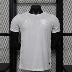 Player Version 2026/27 Norway 2nd Away Gray White Thailand Soccer Jersey AAA-888/308