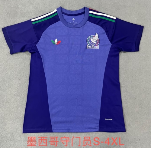 2026/27 Mexico Purple Goalkeeper Thailand Soccer Jersey AAA-912/07/46