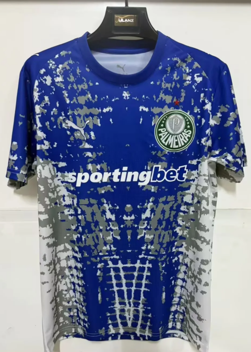2026/27 SE Palmeiras Goalkeeper Blue Thailand Soccer Jersey AAA-1116/908