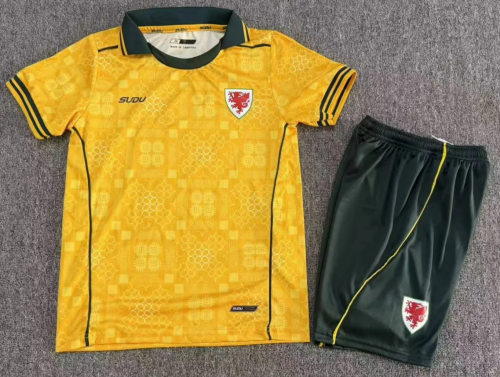 Kids 2026/27 Wales Away Yellow Kids/Youth Soccer Uniform-1040