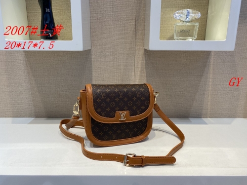 LV Handbags-OMLH301