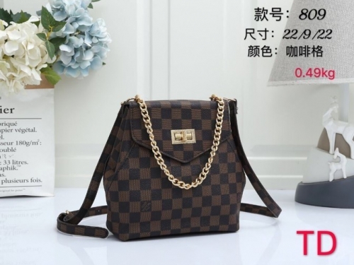 LV Handbags-P58Z