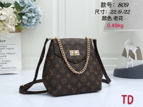 LV Handbags-P58C