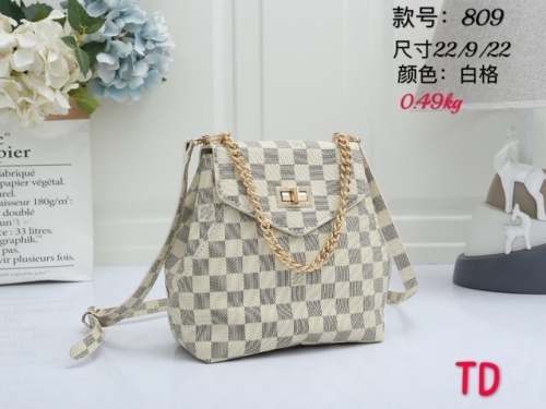 LV Handbags-P58X