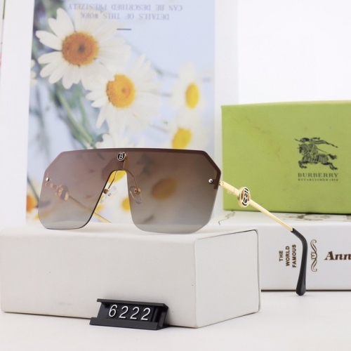 Brand Sunglasses-230313-QL671