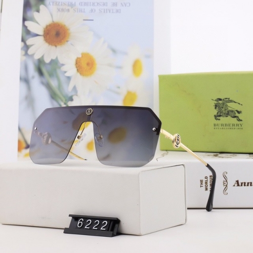 Brand Sunglasses-230313-QL662