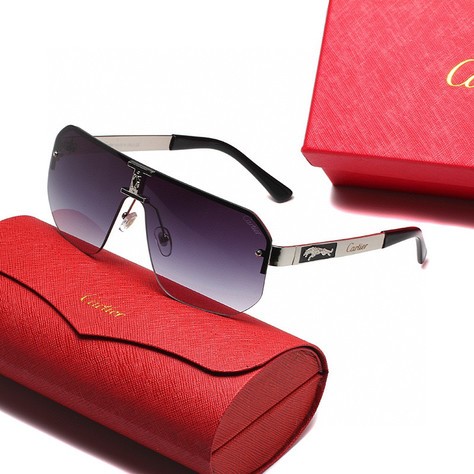 Brand Sunglasses-230313-QL750