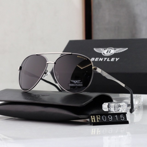 Brand Sunglasses-230313-QL738