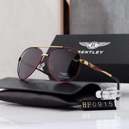 Brand Sunglasses-230313-QL731