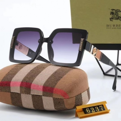 Brand Sunglasses-230328-QL2973