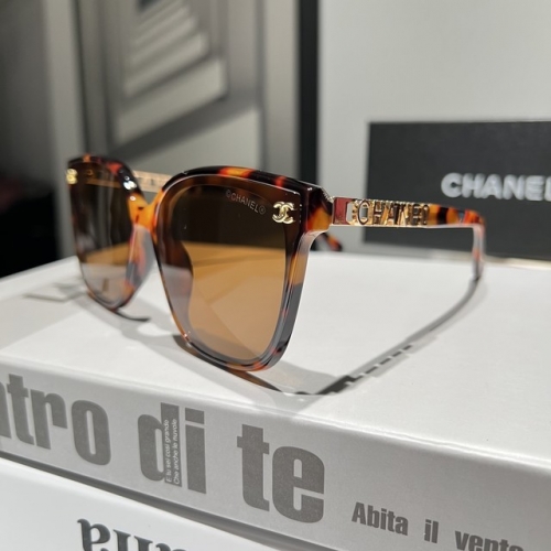 Brand Sunglasses-EZ1755