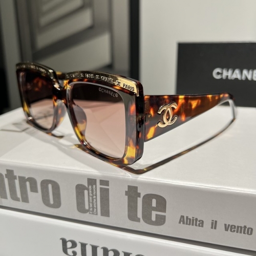 Brand Sunglasses-EZ1714