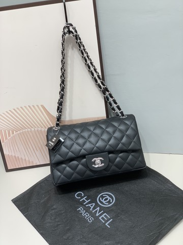 Chane*l Handbags-OMCHH786