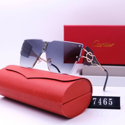 Brand Sunglasses-231205-QL5759