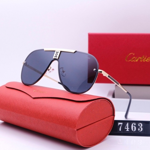 Brand Sunglasses-231205-QL5710