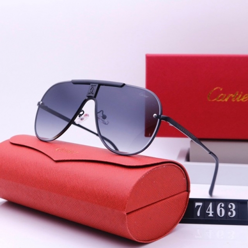 Brand Sunglasses-231205-QL5739