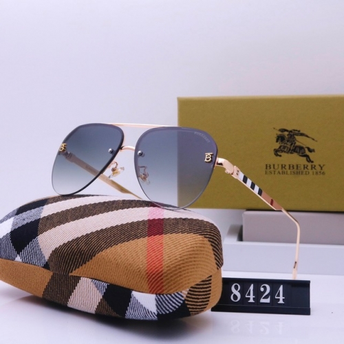 Brand Sunglasses-231205-QL5745