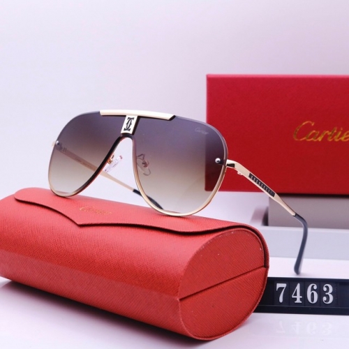 Brand Sunglasses-231205-QL5689