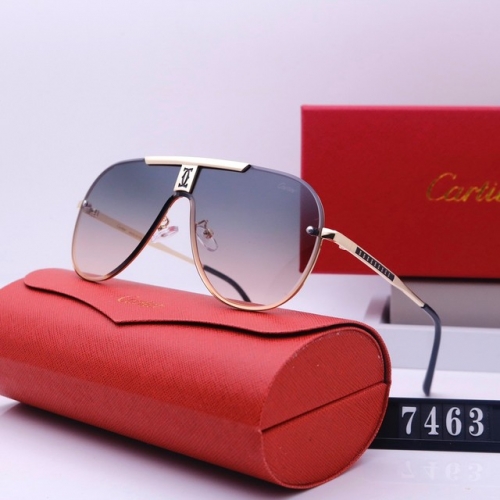 Brand Sunglasses-231205-QL5694