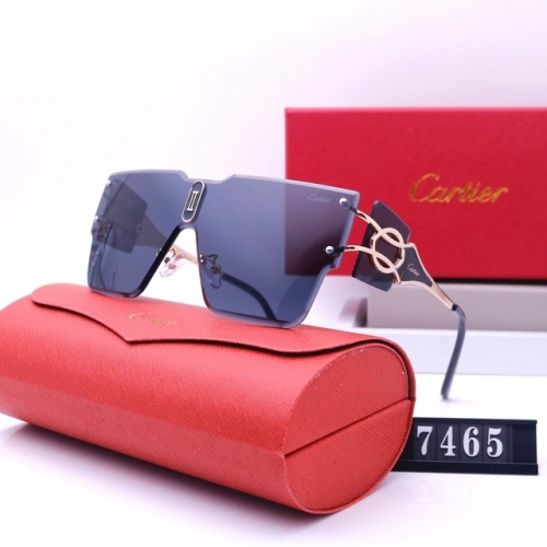 Brand Sunglasses-231205-QL5750