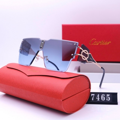 Brand Sunglasses-231205-QL5726