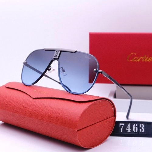 Brand Sunglasses-231205-QL5658