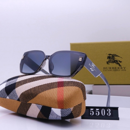 Brand Sunglasses-240222-QL5967