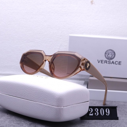 Brand Sunglasses-240603-QL6544