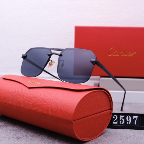 Brand Sunglasses-240603-QL6789