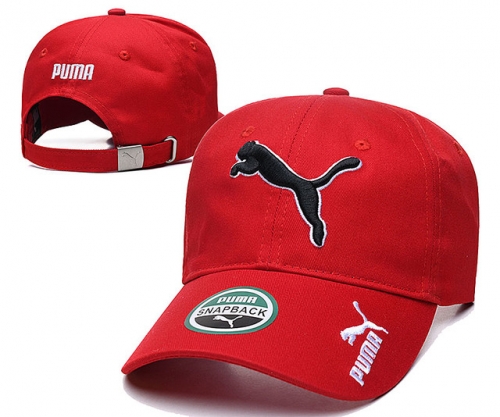 Pum*a Hat *Cap-240628-YM0633