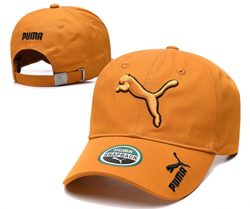 Pum*a Hat *Cap-240628-YM0631