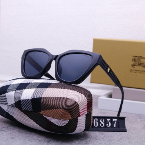 Brand Sunglasses-240823-QL6972