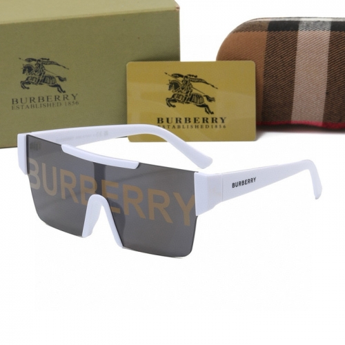 Brand Sunglasses-240823-QL7528