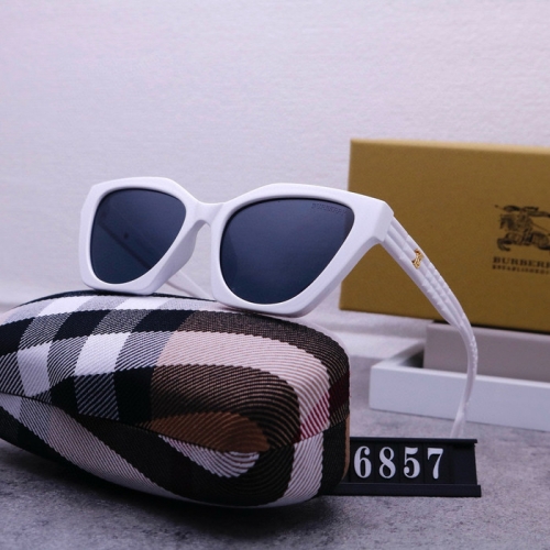 Brand Sunglasses-240823-QL7313