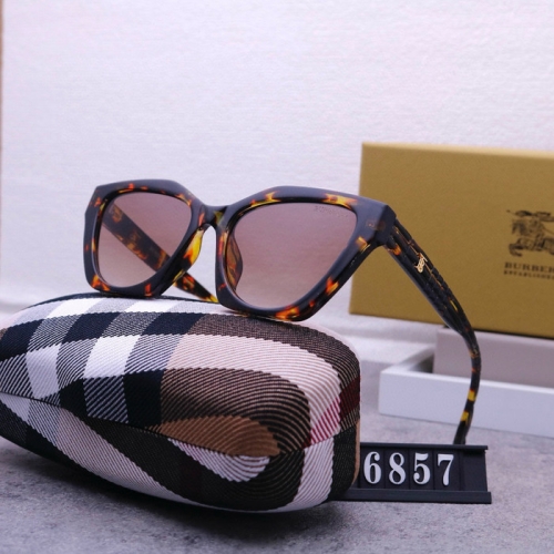 Brand Sunglasses-240823-QL7309