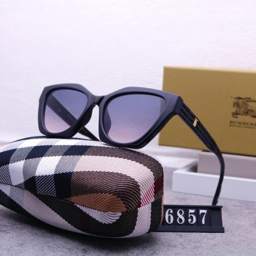 Brand Sunglasses-240823-QL7095