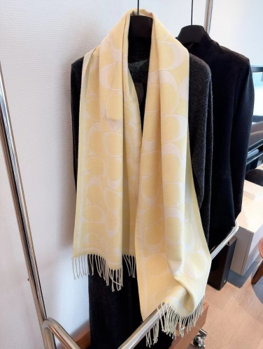 Scarf-VXH241108-S0091