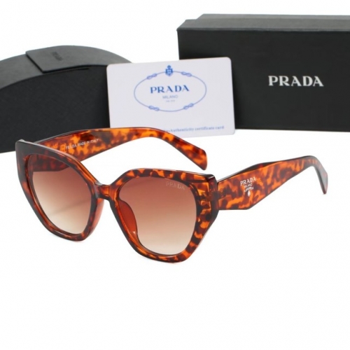 Brand Sunglasses-EZ2647