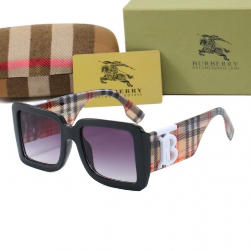 Brand Sunglasses-EZ2470