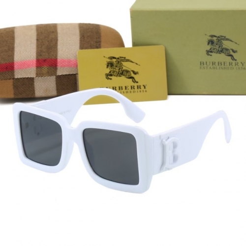 Brand Sunglasses-EZ2590