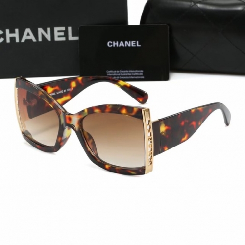 Brand Sunglasses-EZ2576