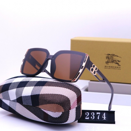 Brand Sunglasses-241231-QL8569